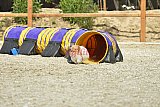zomer wedstrijd someren zaterdag