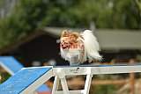 zomer wedstrijd someren zaterdag