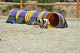 zomer wedstrijd someren zaterdag
