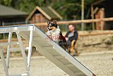 zomer wedstrijd someren zaterdag