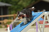 zomer wedstrijd someren zaterdag
