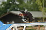 zomer wedstrijd someren zaterdag