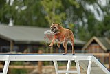 zomer wedstrijd someren zaterdag