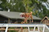 zomer wedstrijd someren zaterdag
