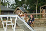 zomer wedstrijd someren zaterdag