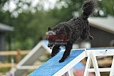 zomer wedstrijd someren zaterdag