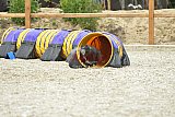 zomer wedstrijd someren zaterdag