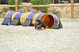 zomer wedstrijd someren zaterdag