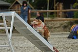 zomer wedstrijd someren zaterdag