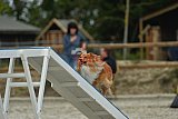 zomer wedstrijd someren zaterdag