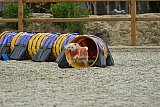 zomer wedstrijd someren zaterdag