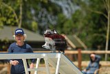 zomer wedstrijd someren zaterdag