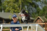zomer wedstrijd someren zaterdag