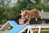 zomer wedstrijd someren zaterdag