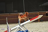 zomer wedstrijd someren zaterdag