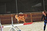 zomer wedstrijd someren zaterdag