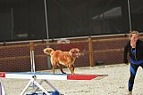 zomer wedstrijd someren zaterdag