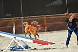 zomer wedstrijd someren zaterdag