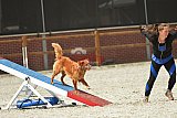 zomer wedstrijd someren zaterdag
