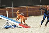 zomer wedstrijd someren zaterdag