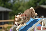 zomer wedstrijd someren zaterdag