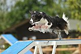 zomer wedstrijd someren zaterdag