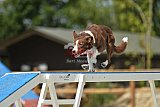 zomer wedstrijd someren zaterdag