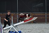 zomer wedstrijd someren zaterdag