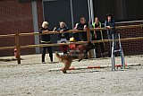 zomer wedstrijd someren zaterdag