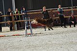 zomer wedstrijd someren zaterdag