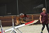 zomer wedstrijd someren zaterdag
