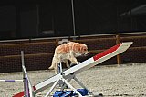 zomer wedstrijd someren zaterdag
