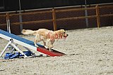 zomer wedstrijd someren zaterdag