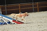 zomer wedstrijd someren zaterdag