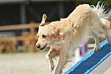 zomer wedstrijd someren zaterdag