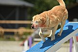 zomer wedstrijd someren zaterdag