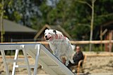 zomer wedstrijd someren zaterdag