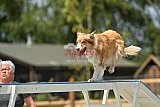 zomer wedstrijd someren zaterdag