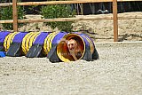 zomer wedstrijd someren zaterdag