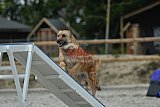 zomer wedstrijd someren zaterdag