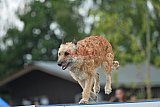 zomer wedstrijd someren zaterdag