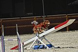 zomer wedstrijd someren zaterdag