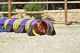 zomer wedstrijd someren zaterdag