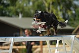 zomer wedstrijd someren zaterdag