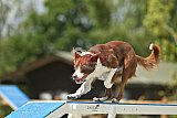 zomer wedstrijd someren zaterdag