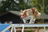zomer wedstrijd someren zaterdag