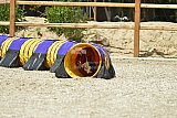 zomer wedstrijd someren zaterdag