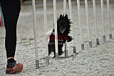 zomer wedstrijd someren zaterdag