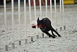 zomer wedstrijd someren zaterdag