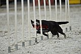 zomer wedstrijd someren zaterdag